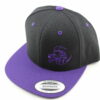 Discraft Buzzz Snapback Hat - purple