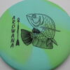 Arowana Glo - Elevation Discs - blend-yellow-green - black - pretty-flat - extremely-gummy - 168g - 168-8g