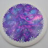 Little Jerm Dyes | @littlejermdyes - dynamic-discs - raider - 176-1g