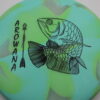 Arowana Glo - Elevation Discs - blue-green - black - neutral - very-gummy - 167g - 167-2g