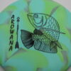 Arowana Glo - Elevation Discs - blue-green - black - neutral - very-gummy - 167g - 167-7g