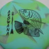 Arowana Glo - Elevation Discs - blue-green - black - neutral - very-gummy - 168g - 168-5g